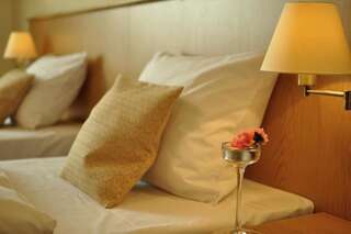 Отель Hotel Alpejski Поляница-Здруй Двухместный номер с 2 отдельными кроватями-3