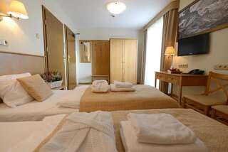 Отель Hotel Alpejski Поляница-Здруй Двухместный номер с 2 отдельными кроватями-2